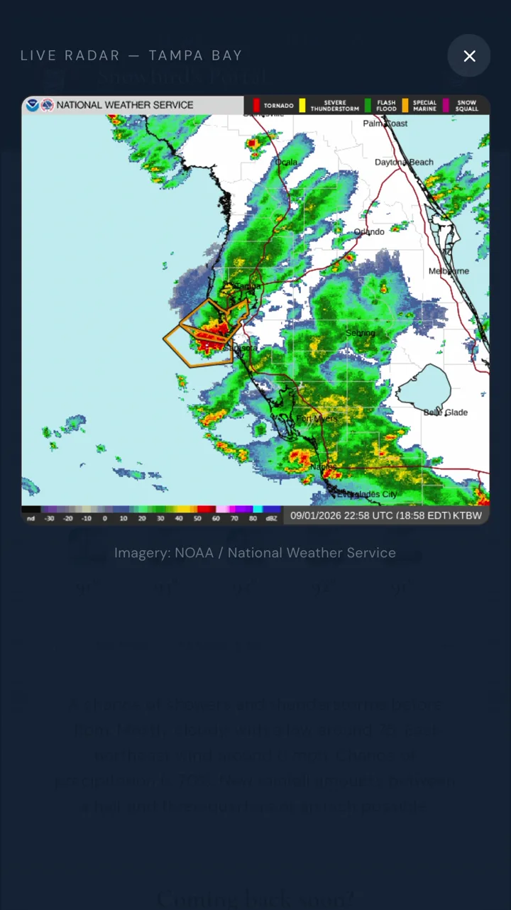 The same portal with the live radar expanded, showing National Weather Service reflectivity across the Tampa Bay region.